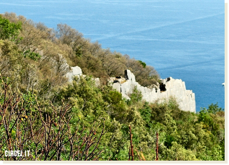 Acropoli del Circeo